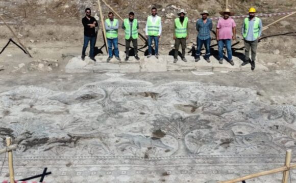 A Farmer In Turkey Uncovered Roman mosaic