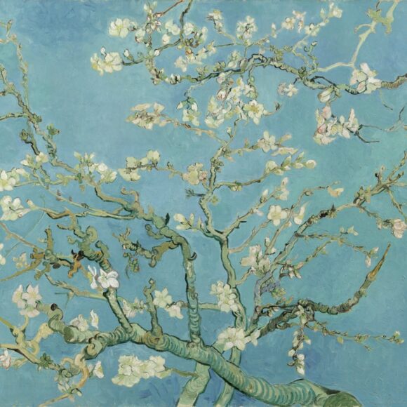 Fading of Van Gogh’s Paintings